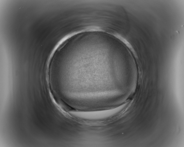 X0000086231342200704121908