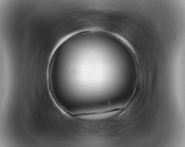 X0000086231343200704121908