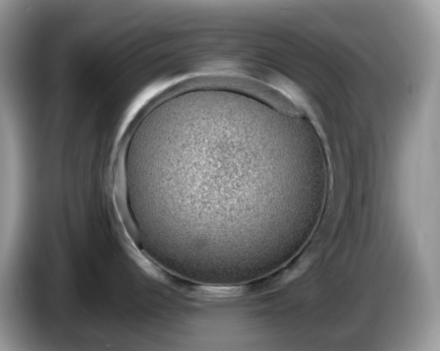 X0000086231344200704121908