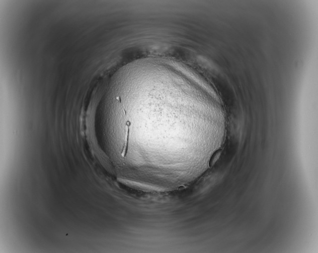 X0000086231346200704121908