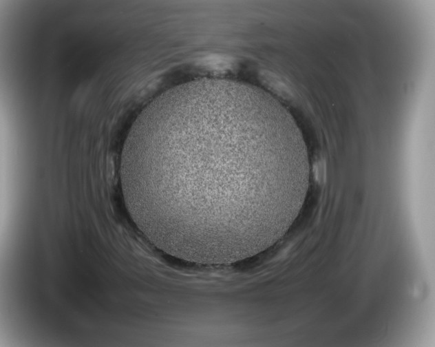 X0000086231347200704121908