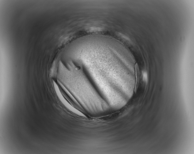 X0000086231348200704121908