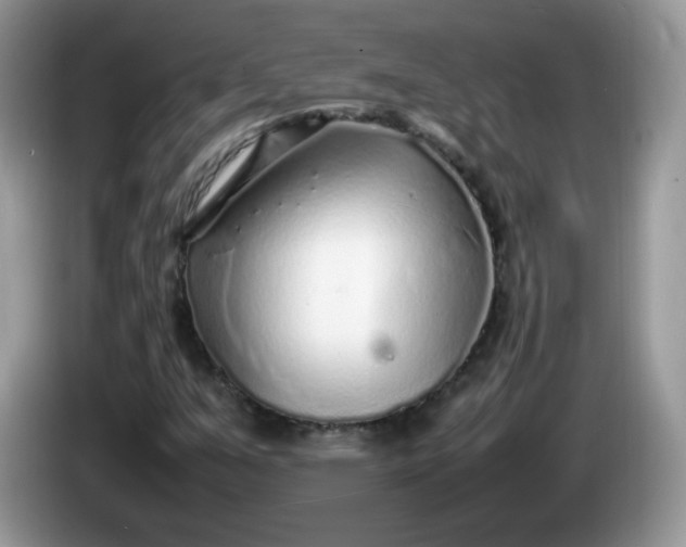 X0000086231351200704121908