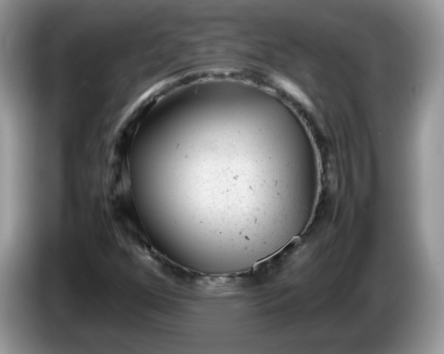 X0000086231352200704121908