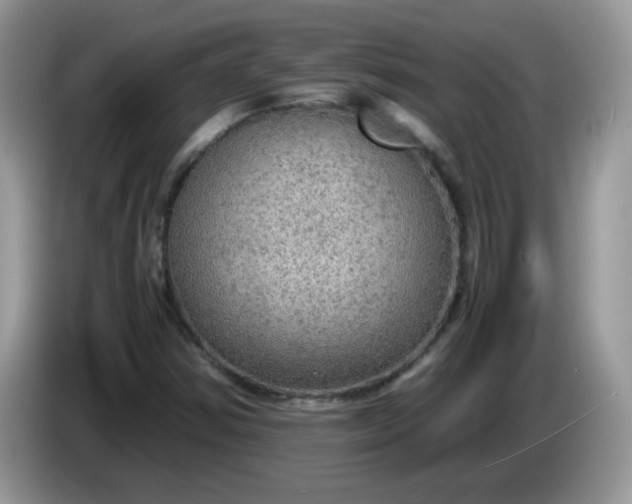 X0000086231354200704121907