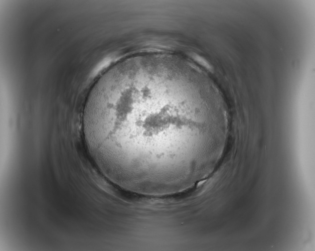 X0000086231355200704121907