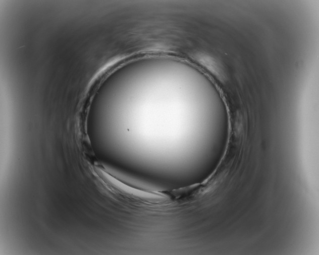 X0000086231356200704121907