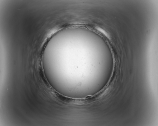 X0000086231357200704121907