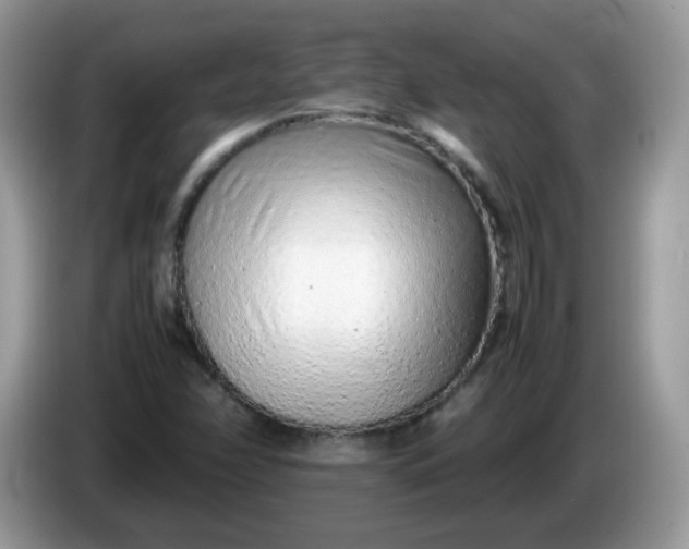 X0000086231358200704121907