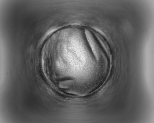 X0000086231359200704121907