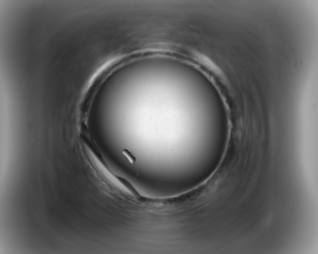 X0000086231360200704121907