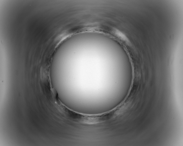 X0000086231361200704121907