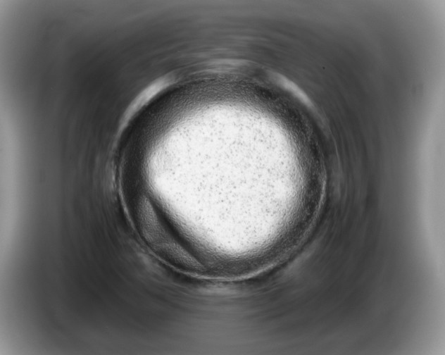 X0000086231362200704121907