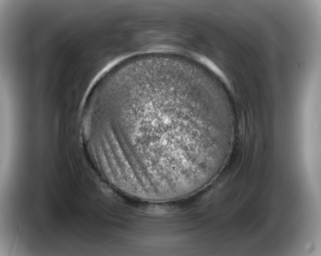 X0000086231364200704121907