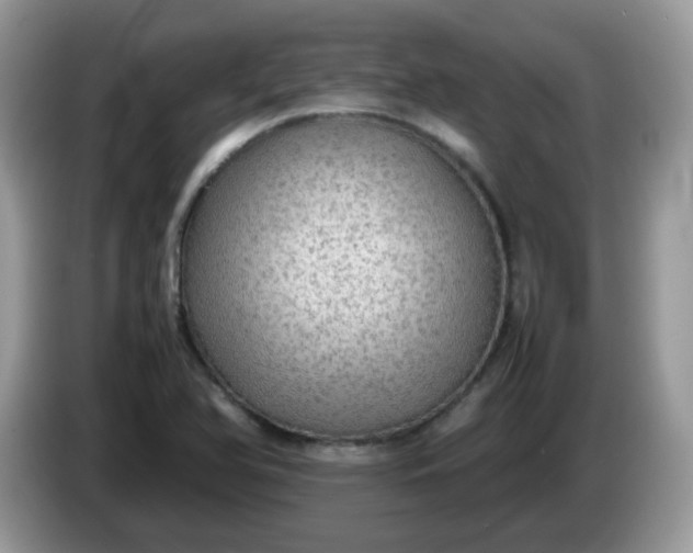 X0000086231366200704121907