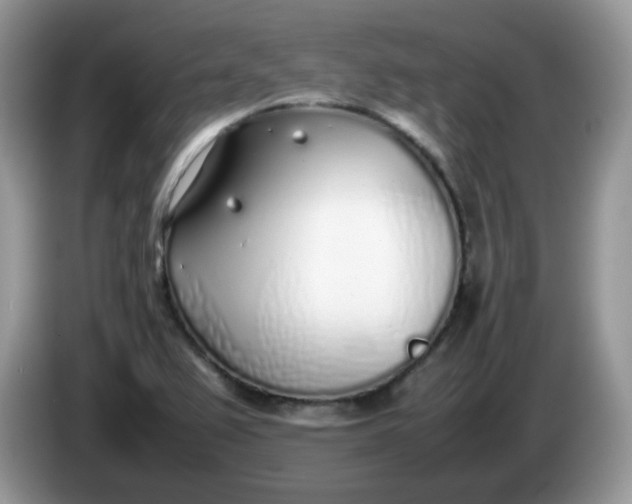 X0000086231367200704121907