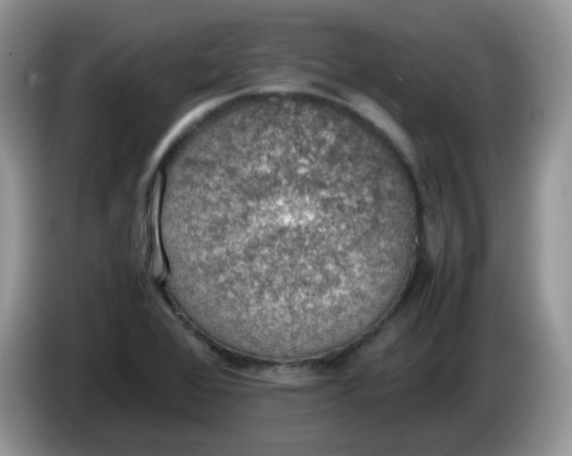 X0000086231368200704121907