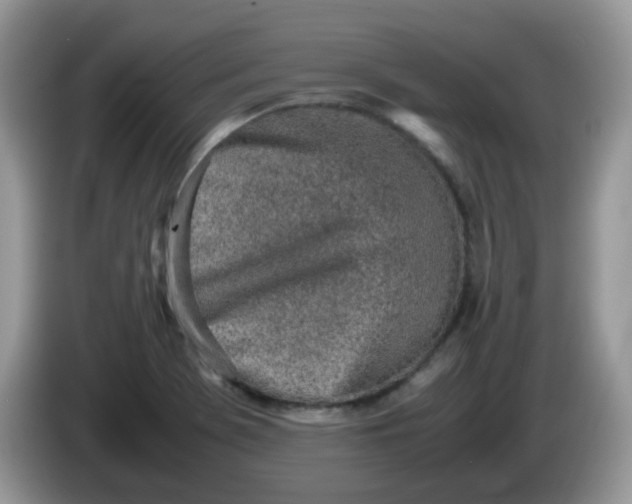 X0000086231369200704121907