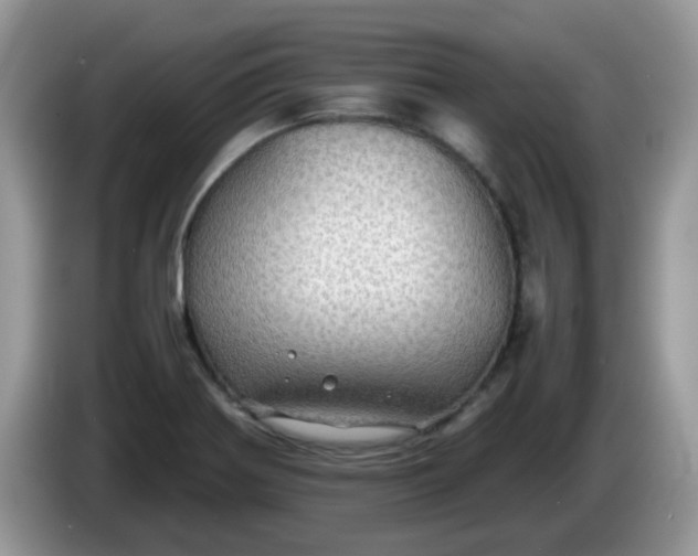 X0000086231370200704121907