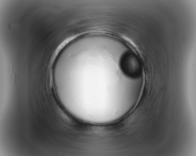 X0000086231371200704121907