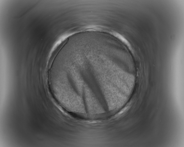 X0000086231373200704121907