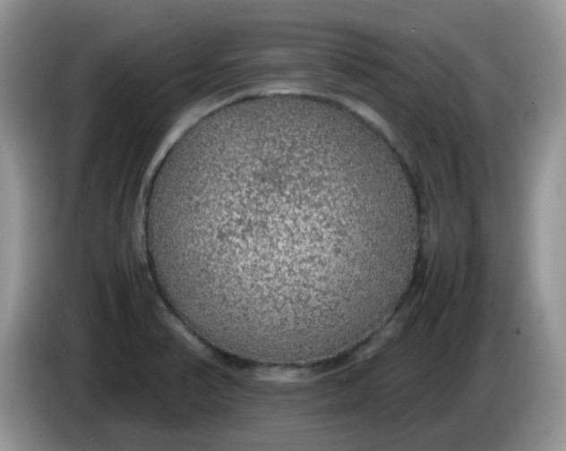 X0000086231374200704121907