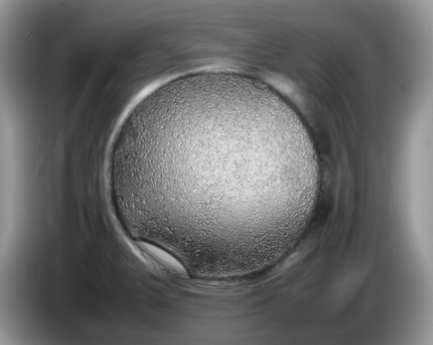 X0000086231375200704121907