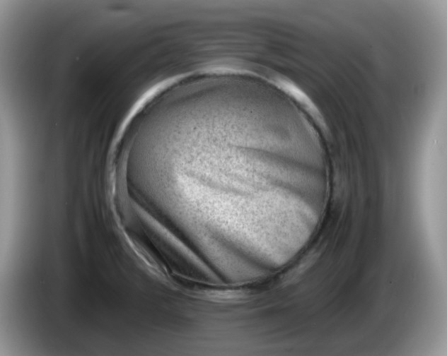 X0000086231376200704121907