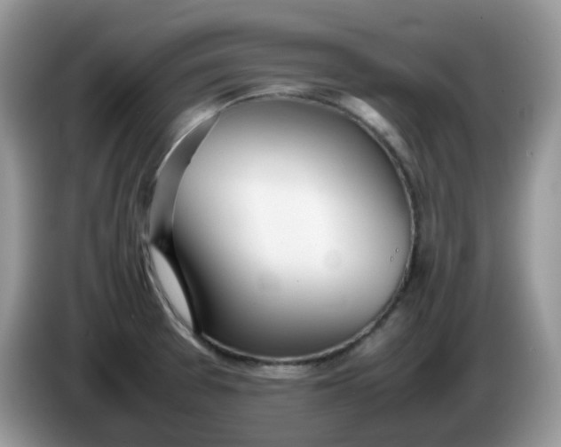 X0000086231377200704121907