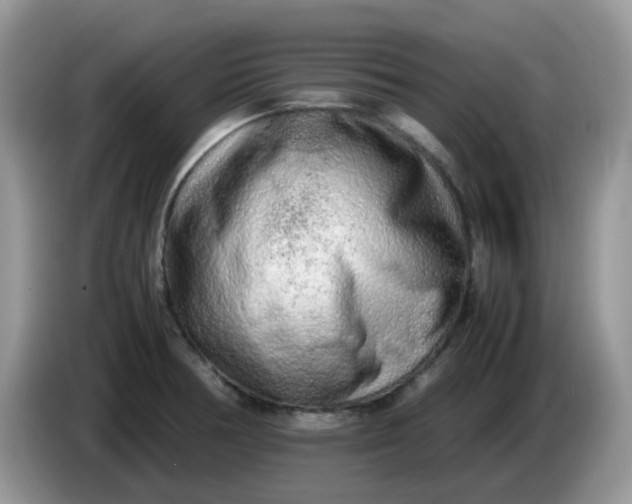 X0000086231378200704121907