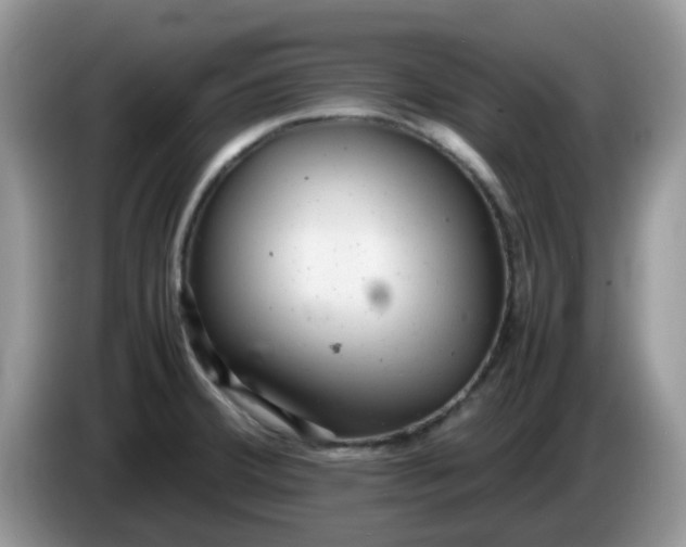 X0000086231380200704121907