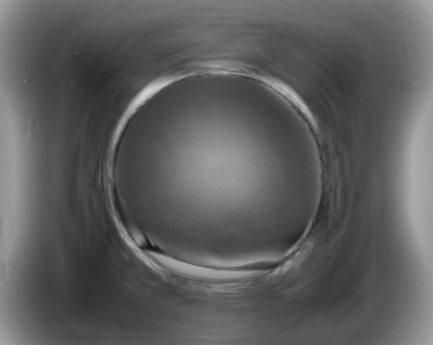 X0000086231381200704121907