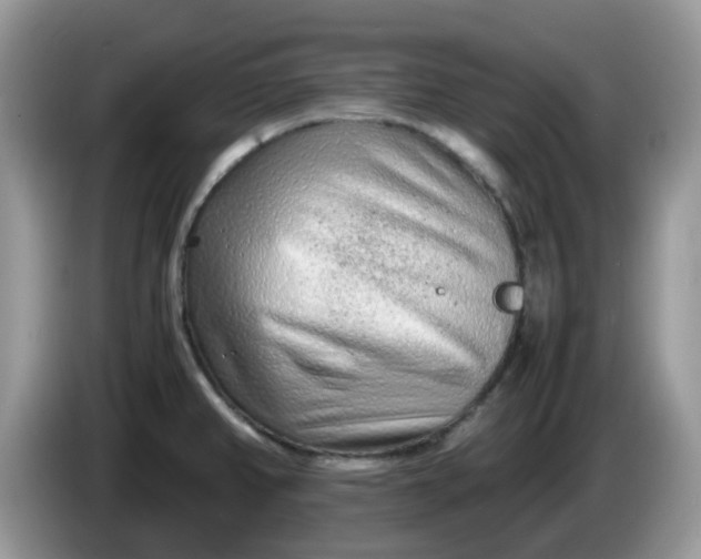 X0000086231382200704121907