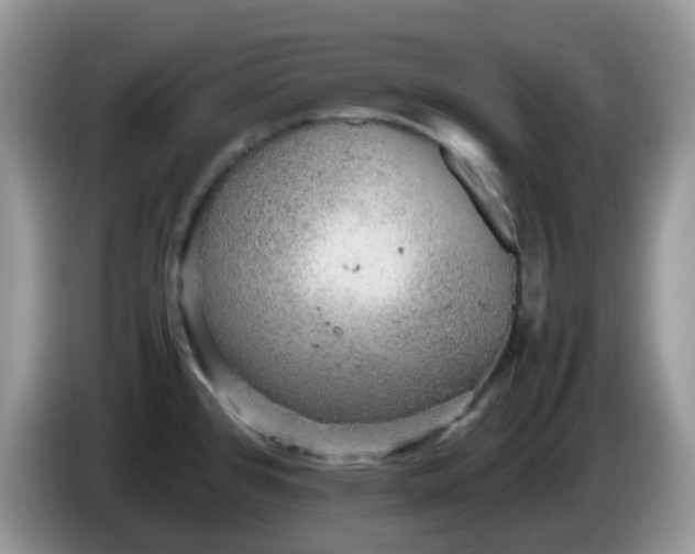 X0000086231384200704121907