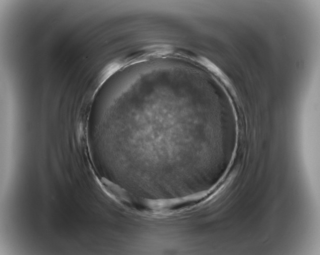 X0000086231385200704121907