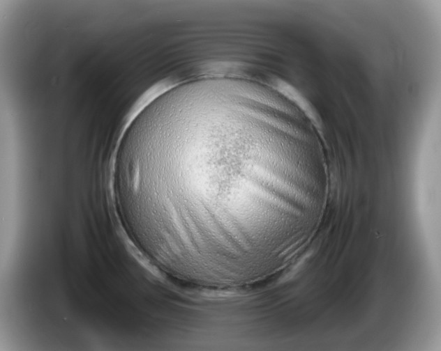 X0000086231386200704121907