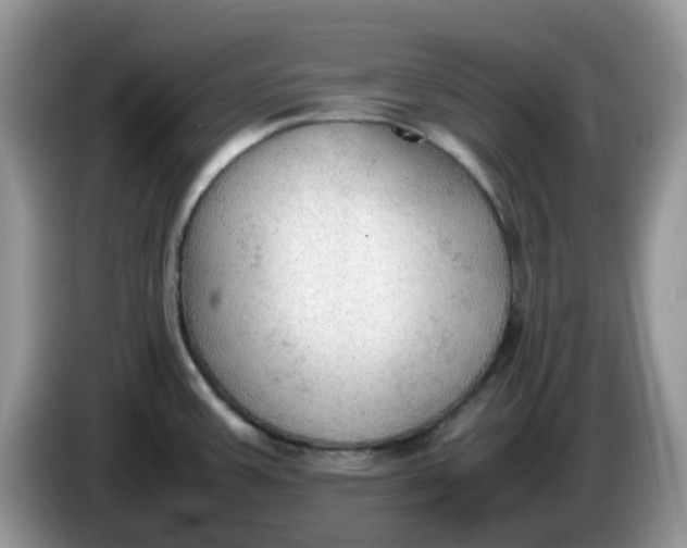 X0000086231387200704121907