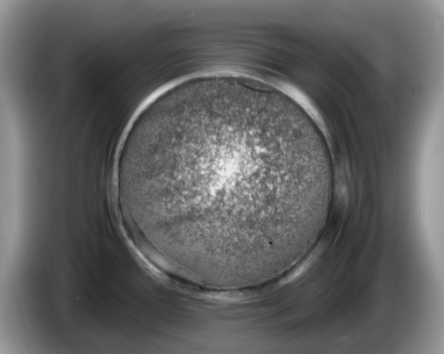 X0000086231388200704121907