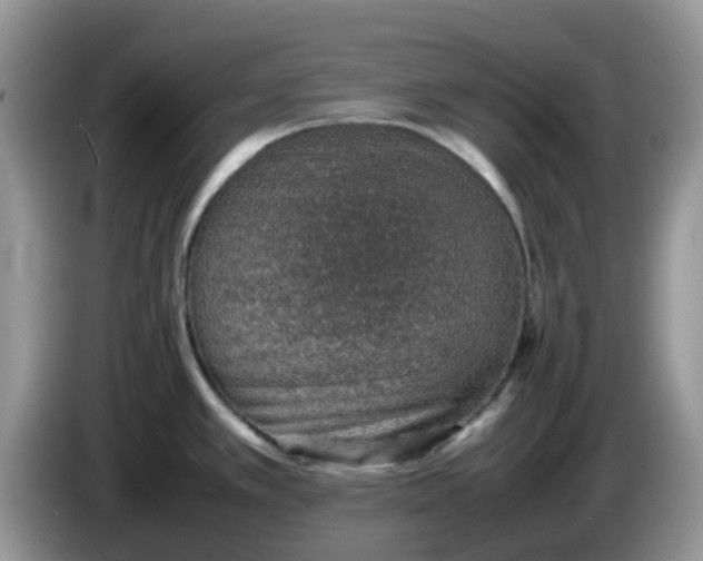 X0000086231389200704121907