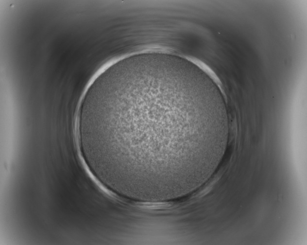 X0000086231391200704121907