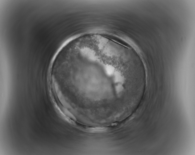 X0000086231392200704121907