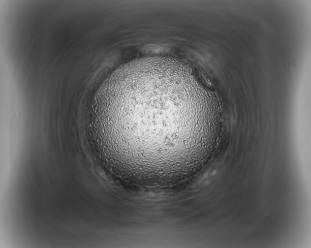 X0000086231393200704121906