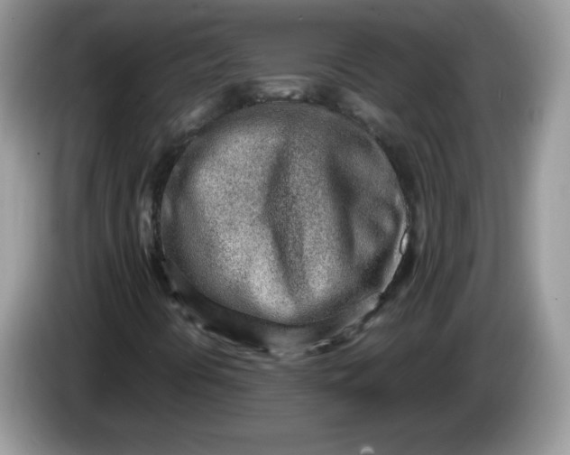 X0000086231394200704121907