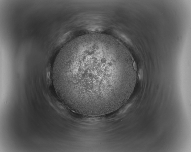 X0000086231396200704121907