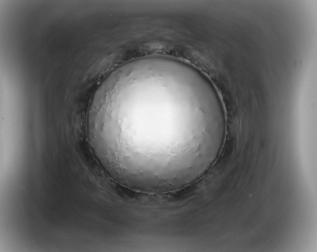 X0000086231397200704121907