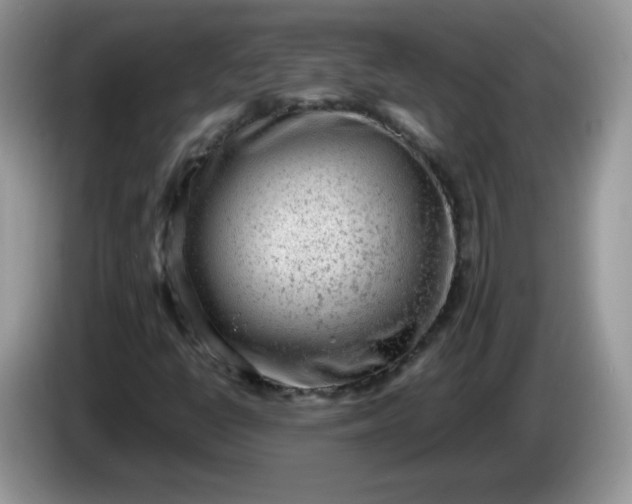 X0000086231398200704121907