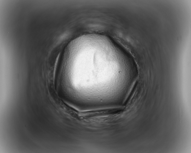 X0000086231399200704121907