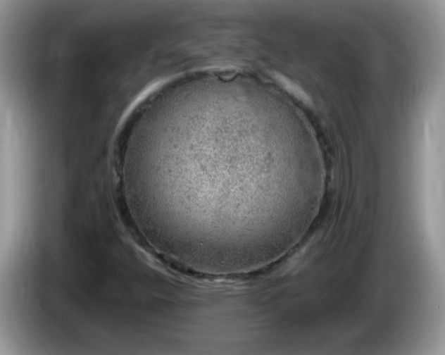 X0000086231400200704121907