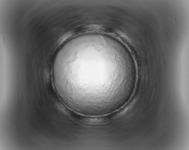 X0000086231401200704121907