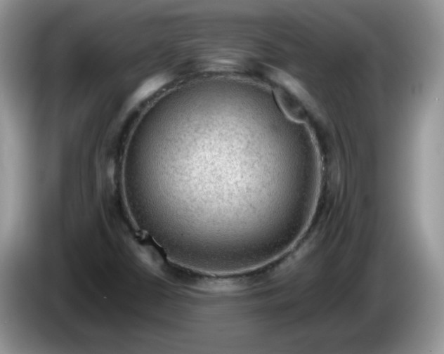 X0000086231402200704121907